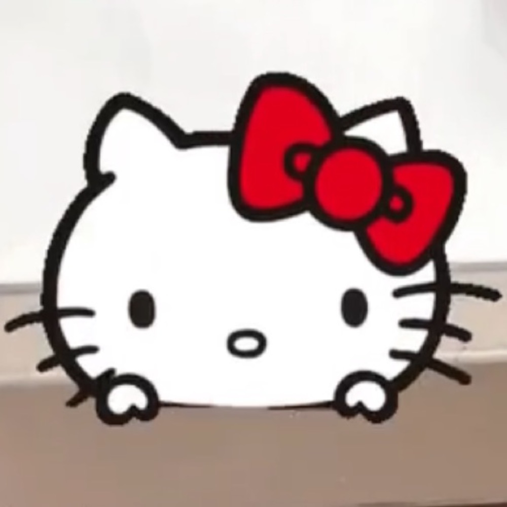 Meet your Posher, Erika